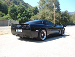 Vette