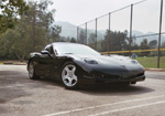 Vette