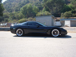 Vette