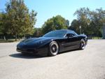 Vette