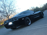 Vette