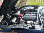 Vette