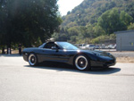 Vette