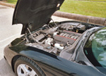 Vette