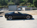 Vette