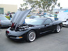 Vette