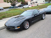 Vette