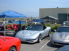 Vette