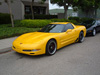 Vette
