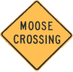 moose crossing