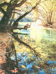 Aoos river
