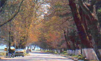 my favourit spot in Ioannina!