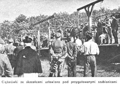 Ss Women Guards