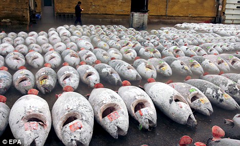 Overfishing