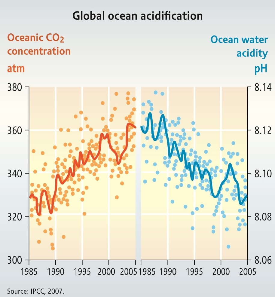 Ocean Acidification