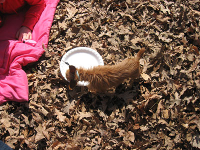 lunchSP08big9