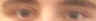 chambers.JPG (78125 bytes)