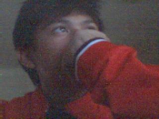 Gelo
