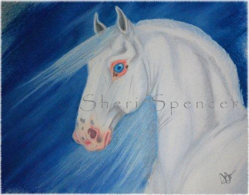 Aayunfael, pastel and coloured pencil on 14x17