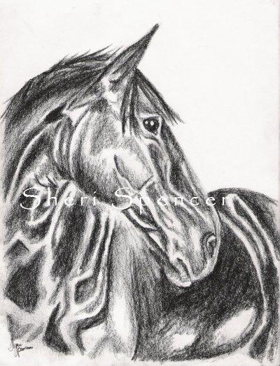 Bingo, sport horse, graphite on 9x12