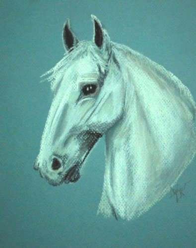 Lipizzan, 8x10, pastel
