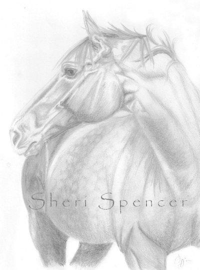 Rocky, morgan rheinlander, pencil on 9x12