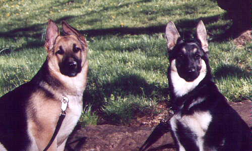 My kids, Buddy and Sierra