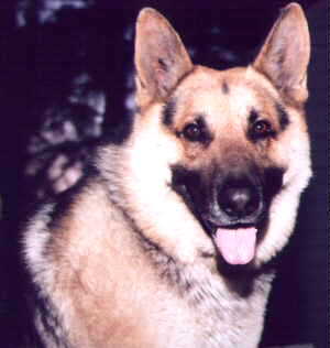 Sam, my bud