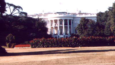 The white House