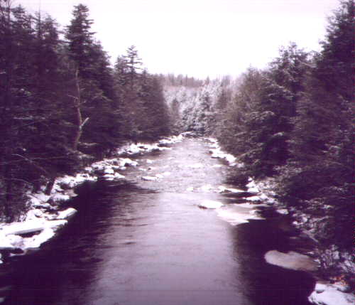 Winter in the mountains