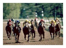 horse racing in kentucky by bill straus