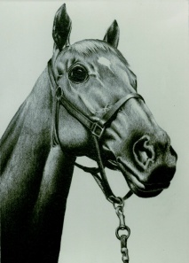 Graphite Horses