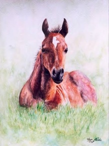 Watercolor Horses