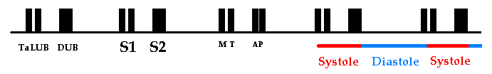 SplitS1.gif (2417 bytes)