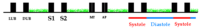 soprodiastolico.gif (2829 bytes)