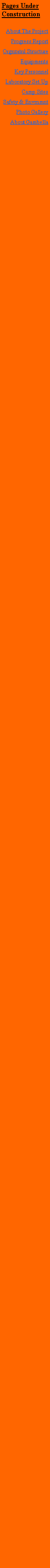 Text Box: Main PagesAbout The ProjectProgress ReportOrgnzatnl StructureEquipmentsKey PersonnelLaboratory Set UpCamp SitesSafety & EnvrnmntPhoto GalleryAbout Gambella