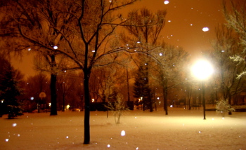 Click here to see Scenic Photography by Erika Backberg