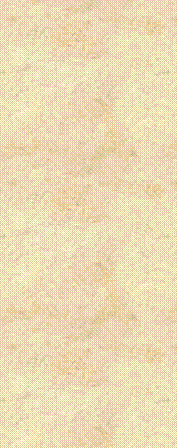Text Box: 