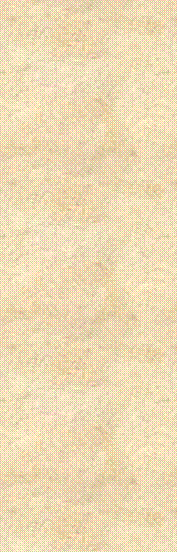 Text Box: 