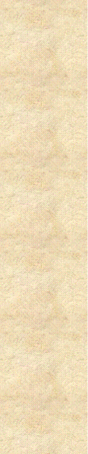 Text Box: 