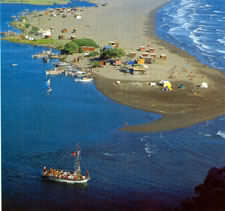 dalyan.jpeg (7653 bytes)