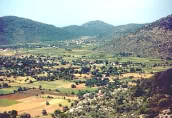 kaya.jpeg (12574 bytes)
