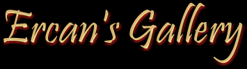 BANNER.gif (10389 bytes)