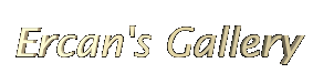 ercangif.gif (89167 bytes)