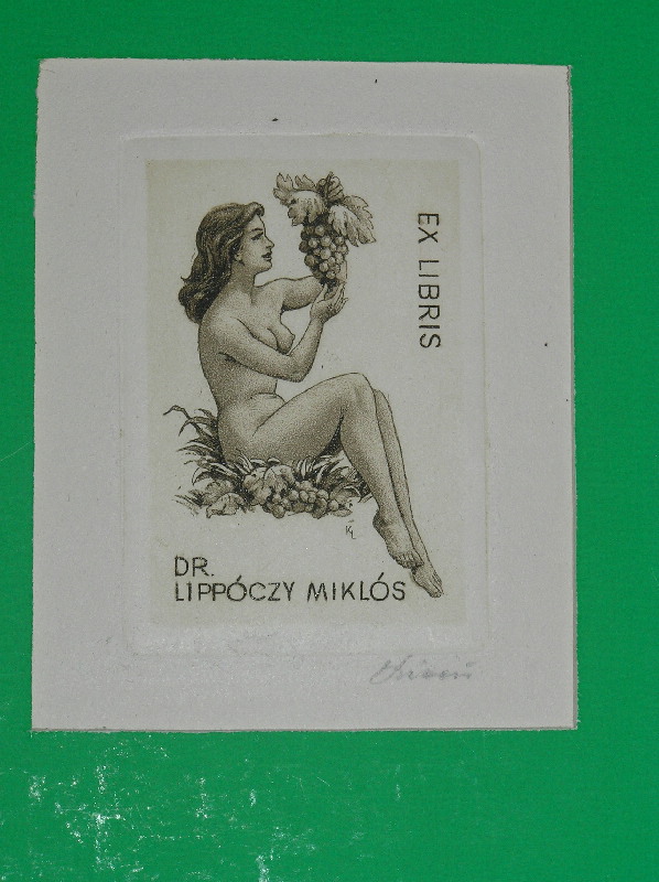 image11