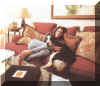 coxsofa.jpg (51650 bytes)