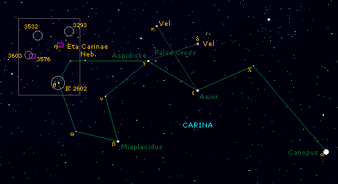 carina