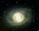 m95