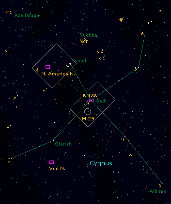 cygnus