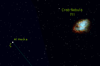 crab grafico